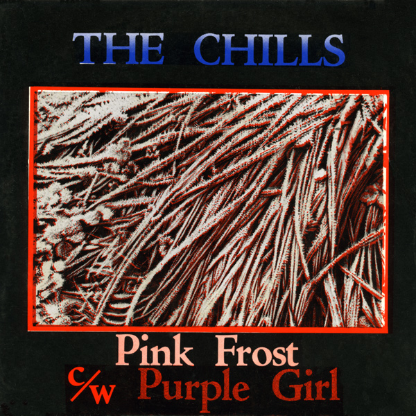 Pink Frost